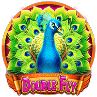 Double Fly — CQ9