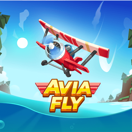 AviaFly — INOUT