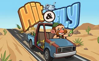 Hit & Fly — PIX